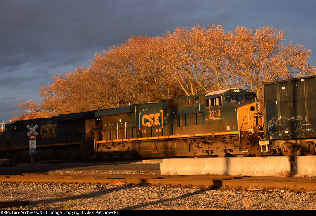 CSX 3219